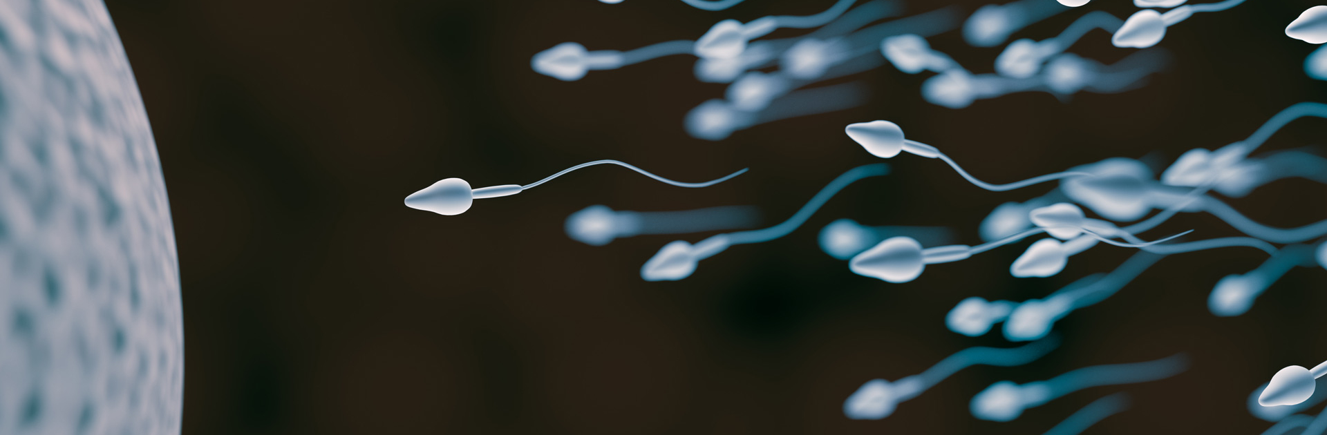 жизнь спермы в не организма фото 118